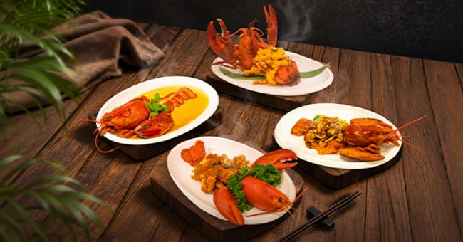 JRF #1596 - Scholar - Boston Lobster Promo - Web Icon - 530 x 288px